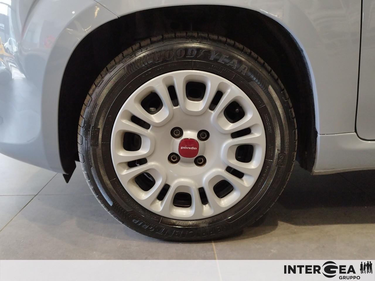 FIAT Panda 1.0 firefly hybrid s&s 70cv