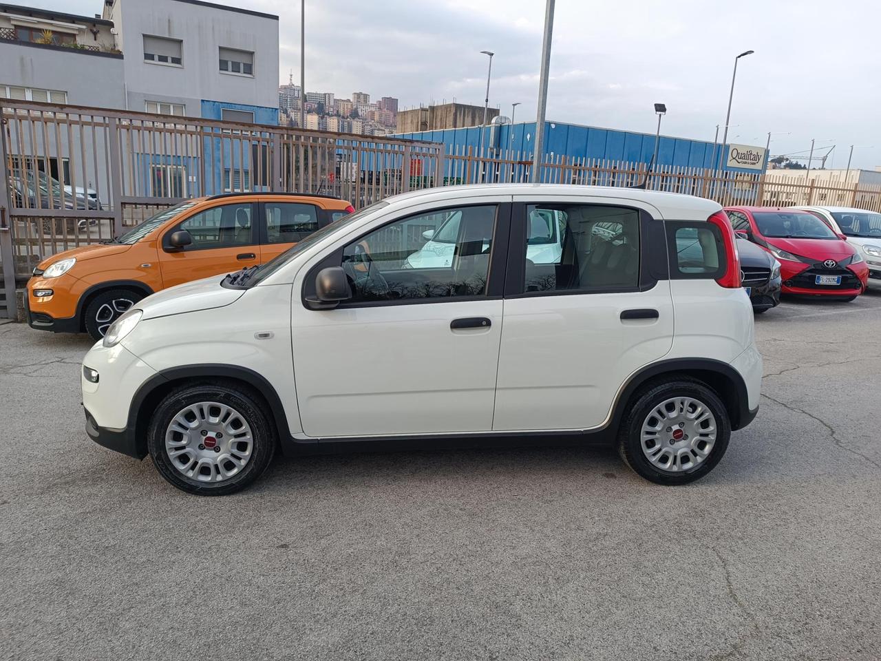 Fiat Panda 1.0 firefly hybrid s&s 70cv 5p.ti
