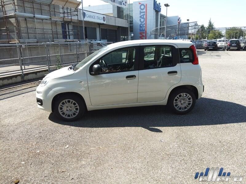 FIAT Panda MY25 1.0 70cv Hybrid