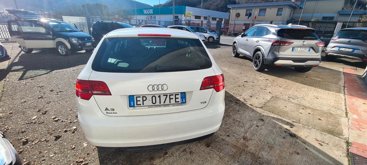 Audi A3 SPB 1.6 TDI 90 CV CR F.AP Attraction