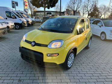 FIAT Panda 1.0 FireFly S&S Hybrid Pandina