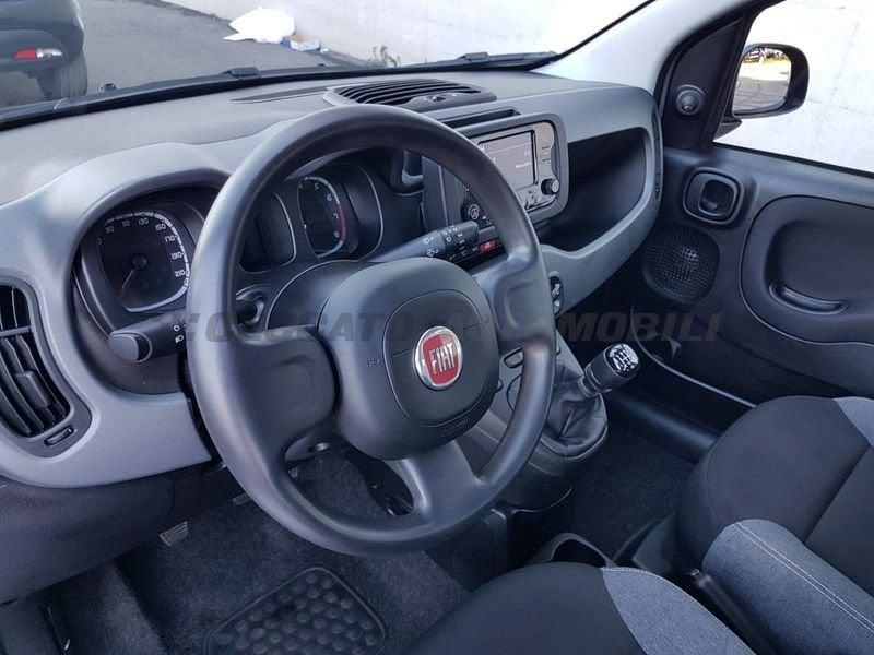 FIAT Panda Panda 1.0 firefly hybrid City Life s&s 70cv 5p.ti