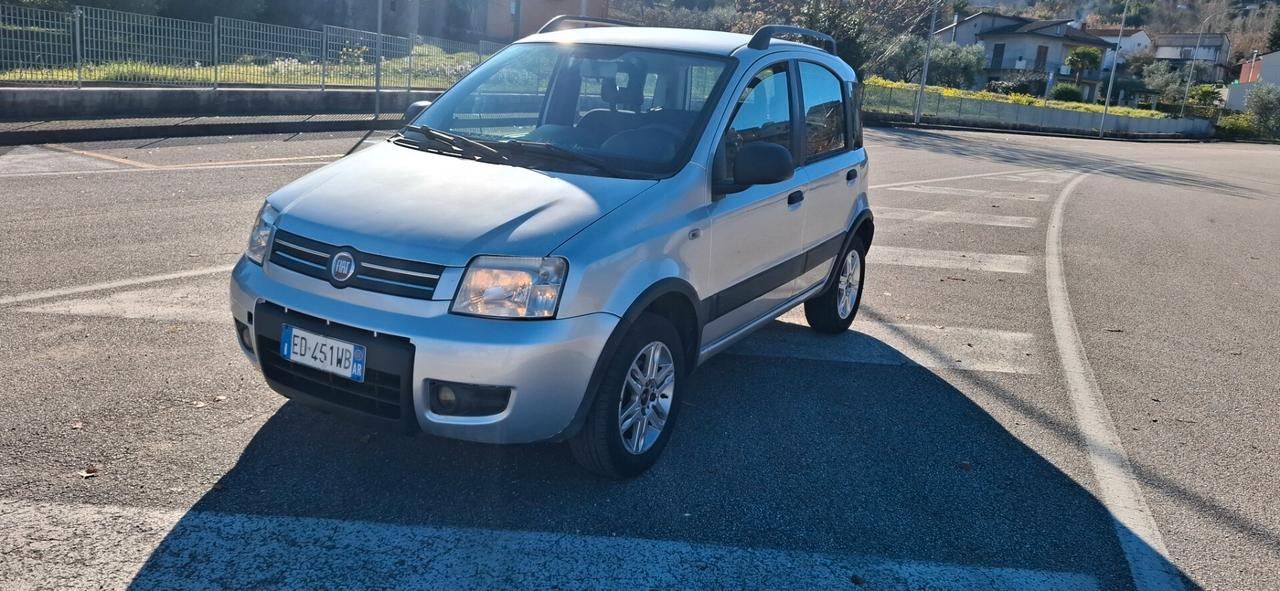 Fiat Panda 1.4 Climbing Natural Power