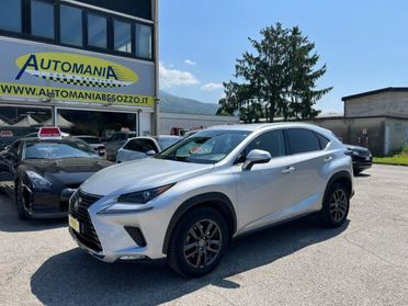 LEXUS NX 300 Hybrid Business