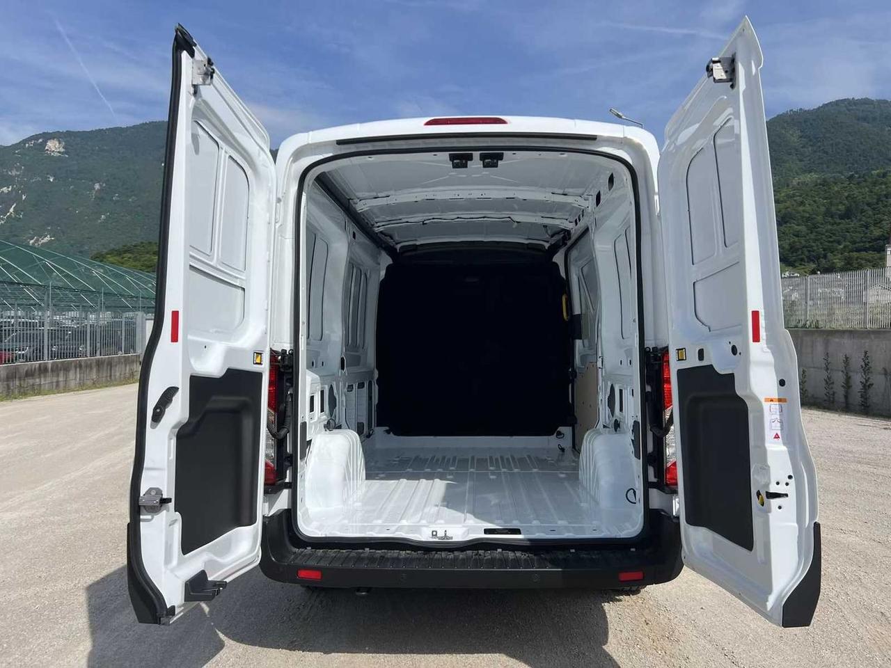 Ford Transit 2.0 TDCi EcoBlue 130CV Furgone #50698