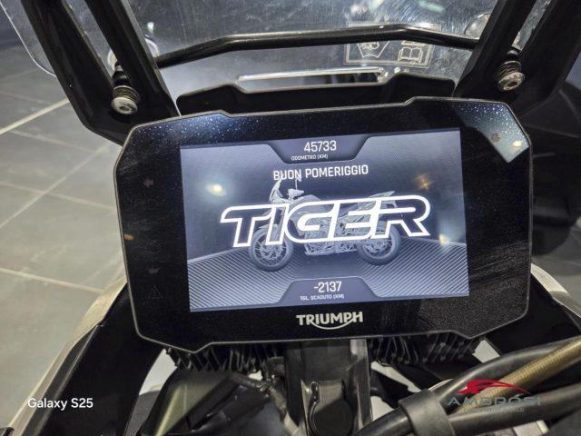 TRIUMPH Tiger 900 Rally Pro