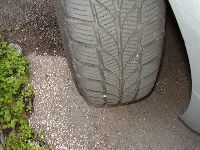 Fiat Punto Evo 1.2 5 porte Dynamic