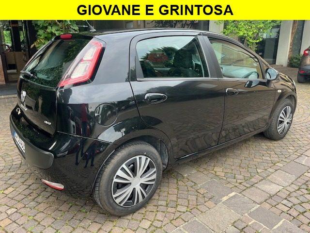 FIAT Punto Evo 1.3 Mjt 75 CV 5P. Neopatentati