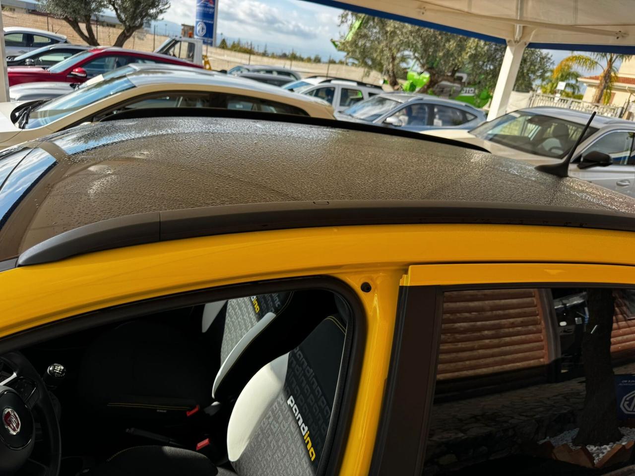 Fiat Panda 1.0 FireFly S&S Hybrid Pandina