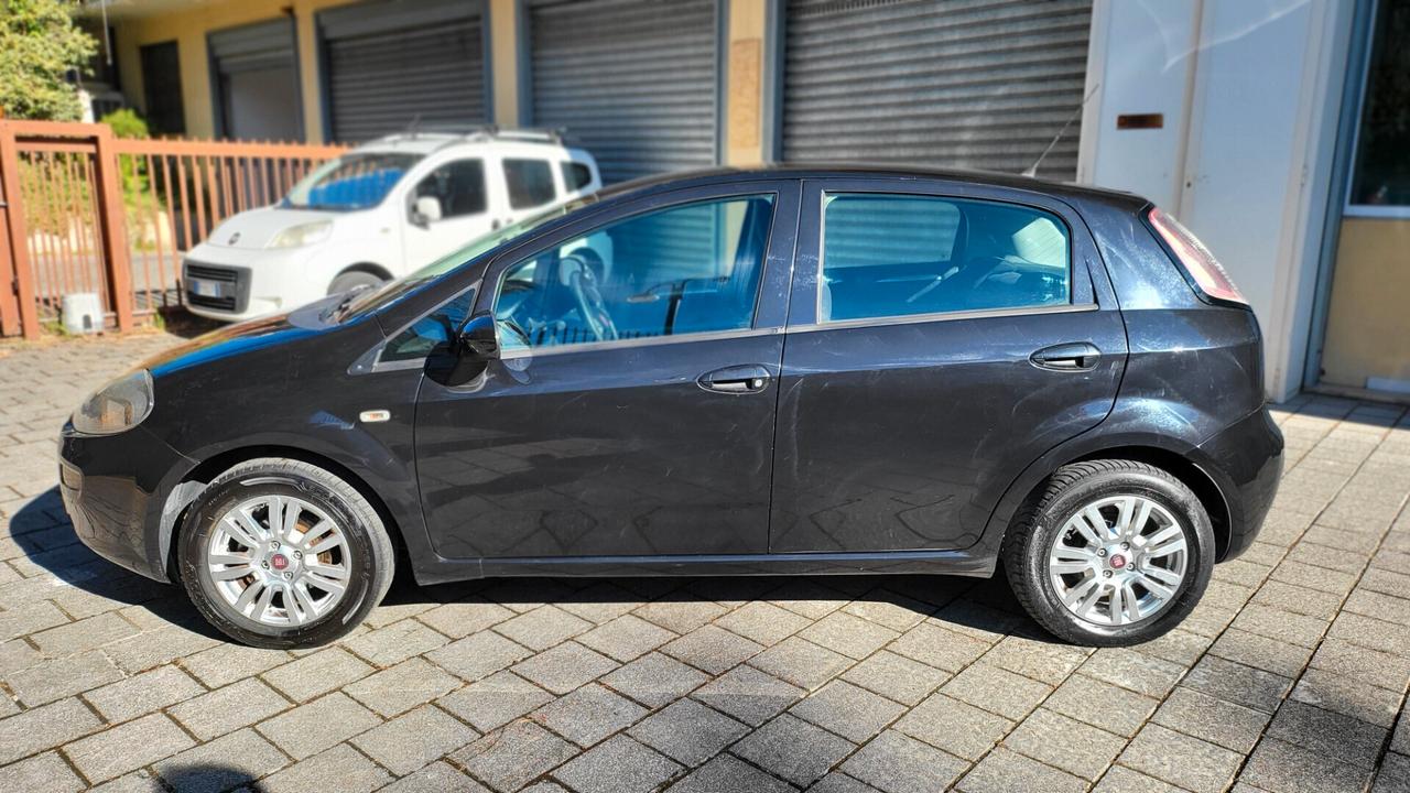 Fiat Punto 1.2 8V 5 porte Street