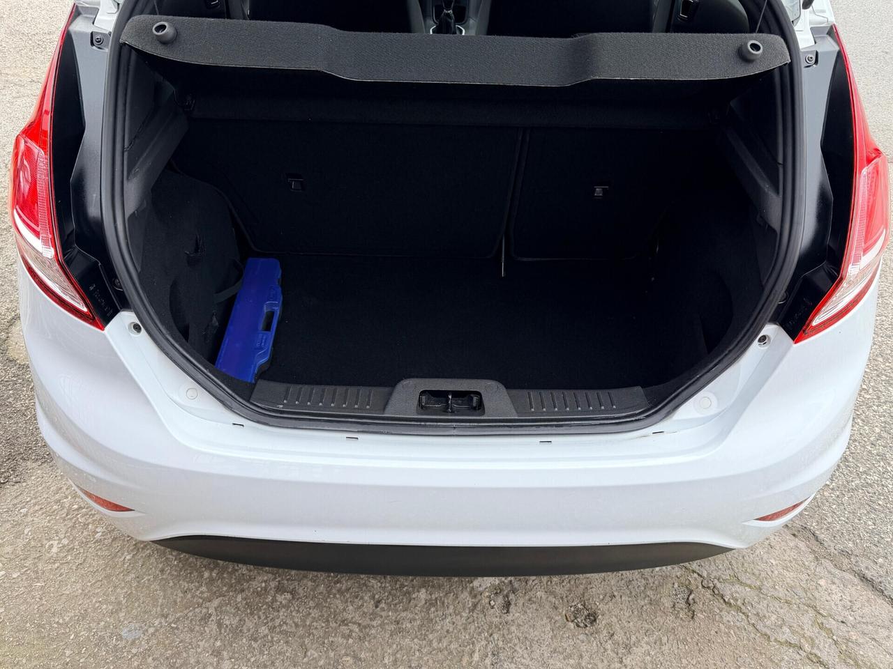 Ford Fiesta 1.5 TDCi 75CV 5 porte Black & White Edition