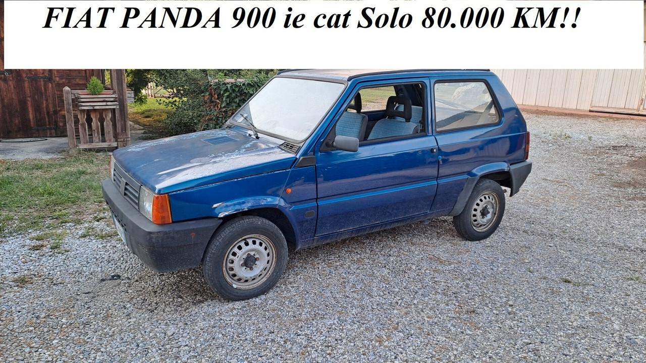 Fiat Panda 900i cat