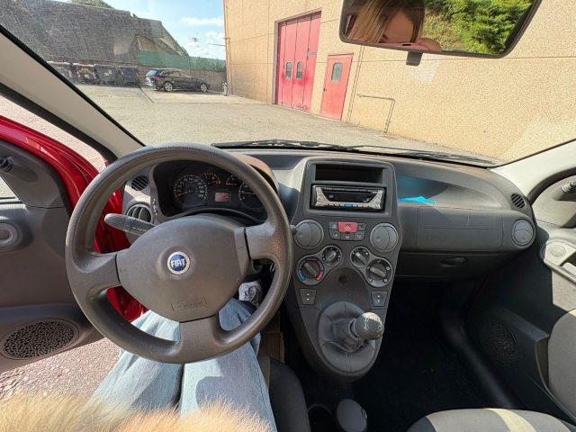 FIAT Panda 1.2 Dynamic GARANZIA 12 MESI