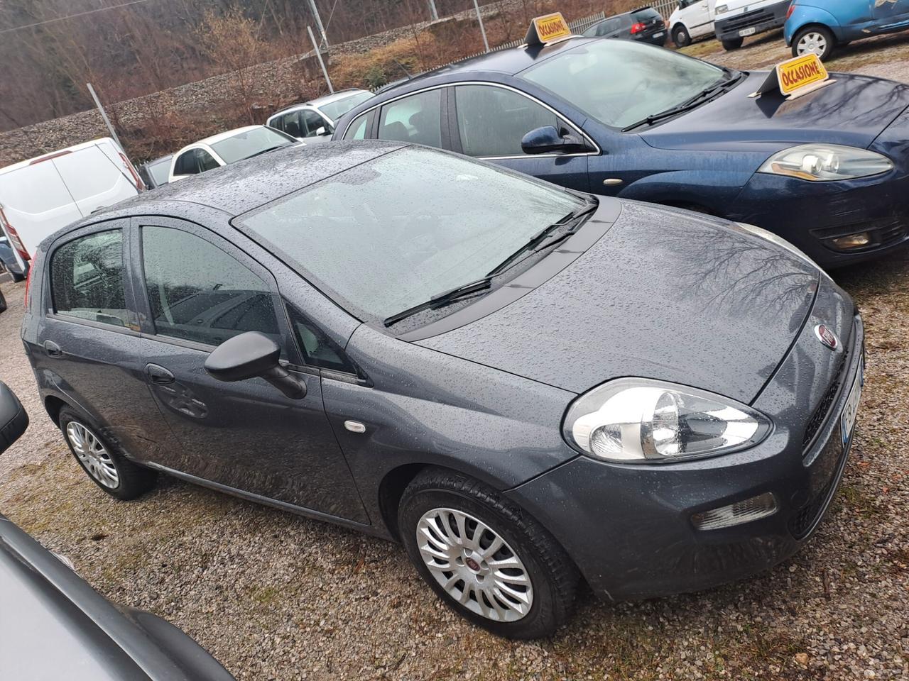 Fiat Punto 1.2 8V 5 porte Lounge