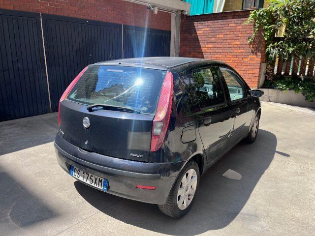 FIAT Punto 1.3 Multijet 16V 5 porte Dynamic