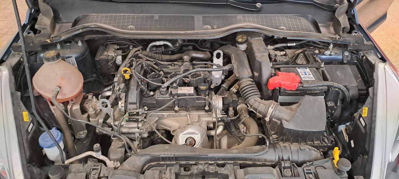 Ford Fiesta 1.1 5p solo 11500 km