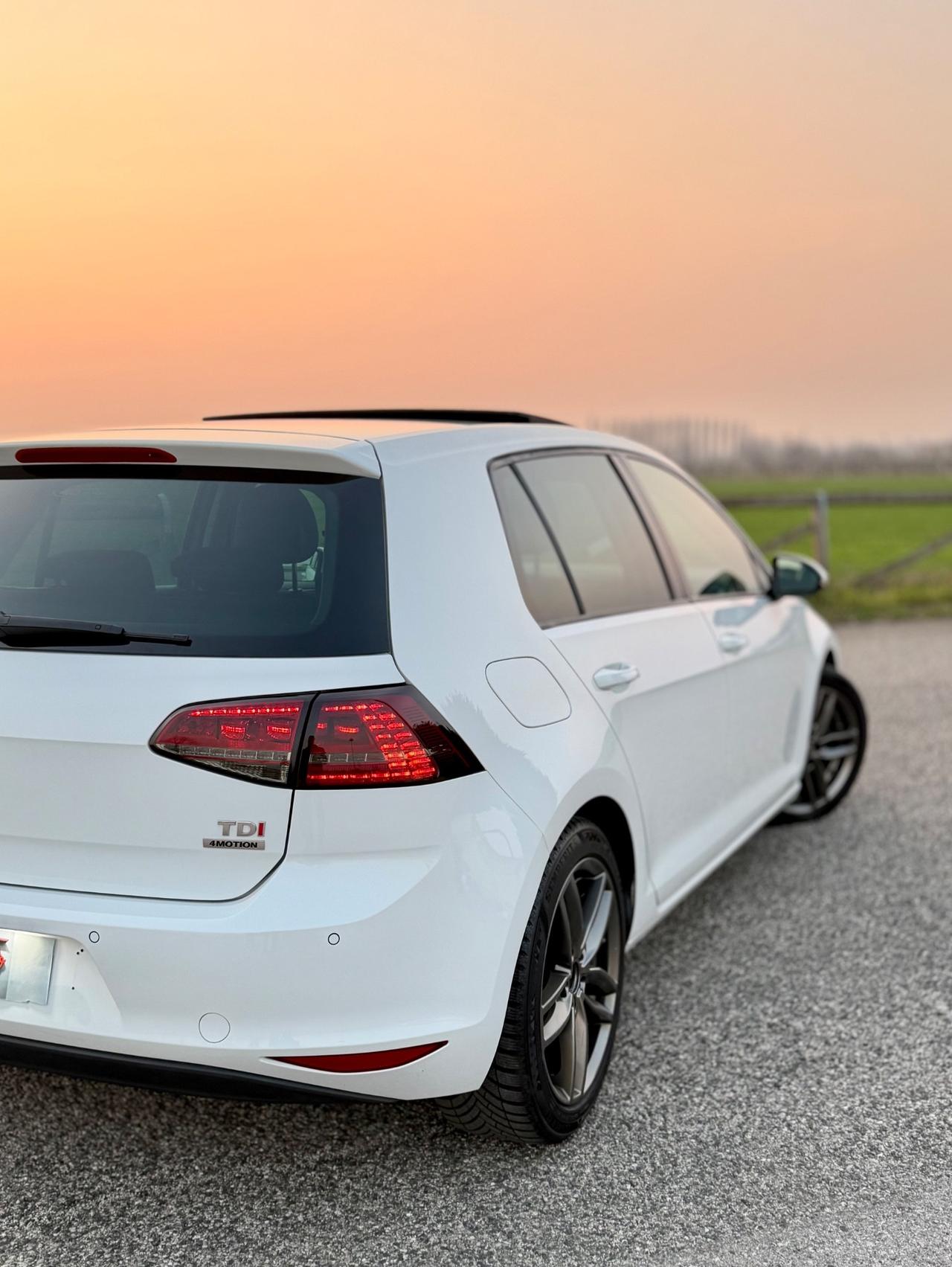 Volkswagen Golf Business 1.6 TDI 5p. 4MOTION Highline BlueMotion Tech.