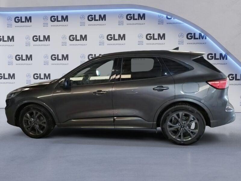 Ford Kuga 2.0 EcoBlue 120CV 2WD ST-Line Auto