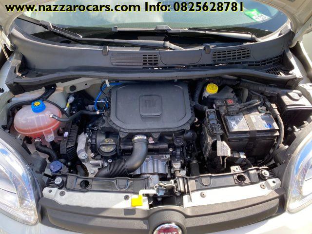 FIAT Panda *PREZZO SHOCK* 1.0 FireFly S&S Hybrid