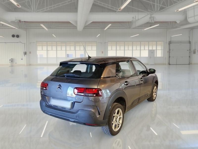 CITROEN C4 CACTUS 1.5 bluehdi Shine s/s 100cv
