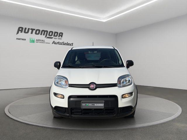 FIAT Panda 1.0 HYBRID 4 POSTI N1 AUTOCARRO