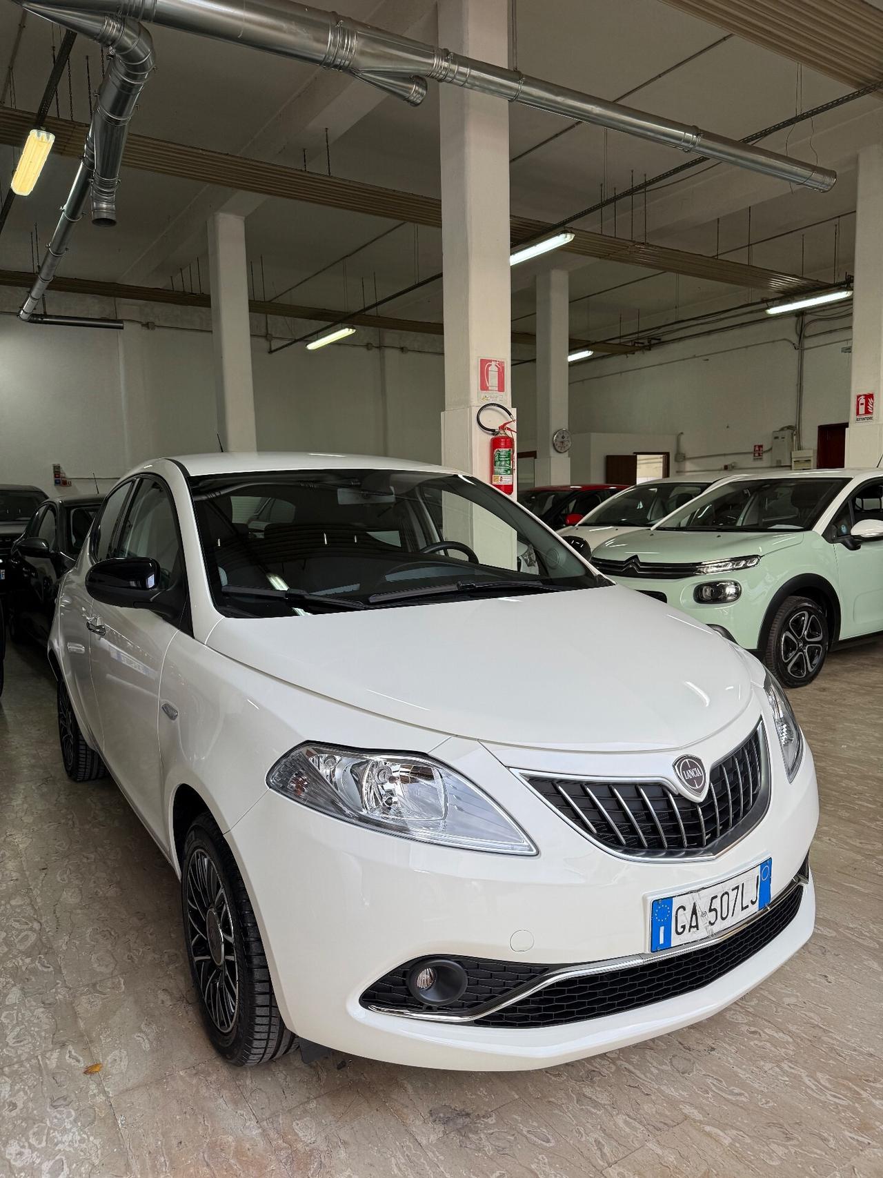 Lancia Ypsilon 1.2 69 CV 5 porte S&S Platinum