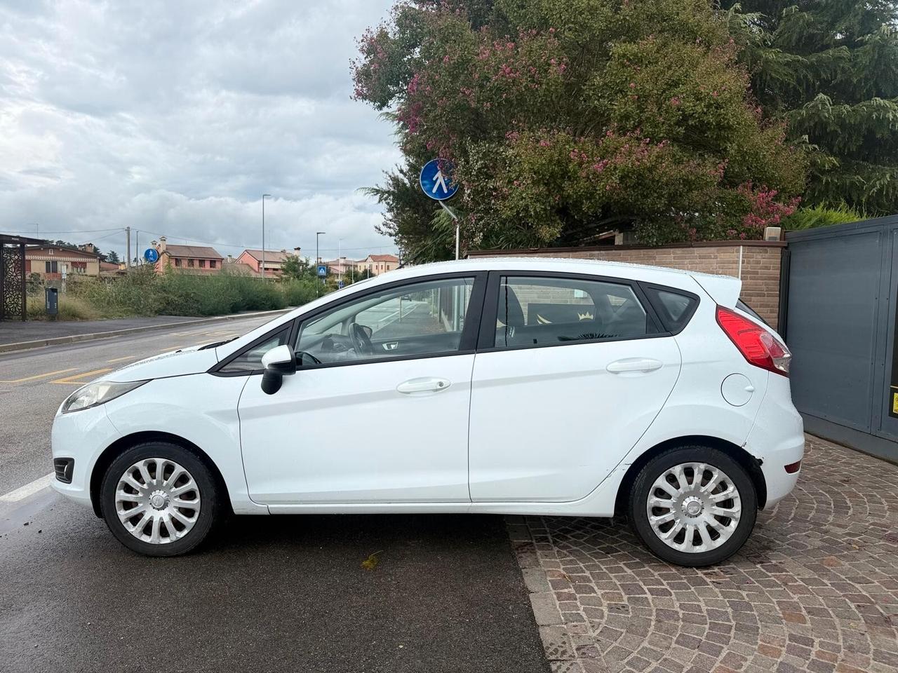 Ford Fiesta 1.5 TDCi 75CV 5 porte Black & White Edition