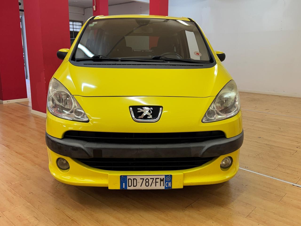 Peugeot 1007 1.6 Trendy Automatica Tutti i lavori eseguiti