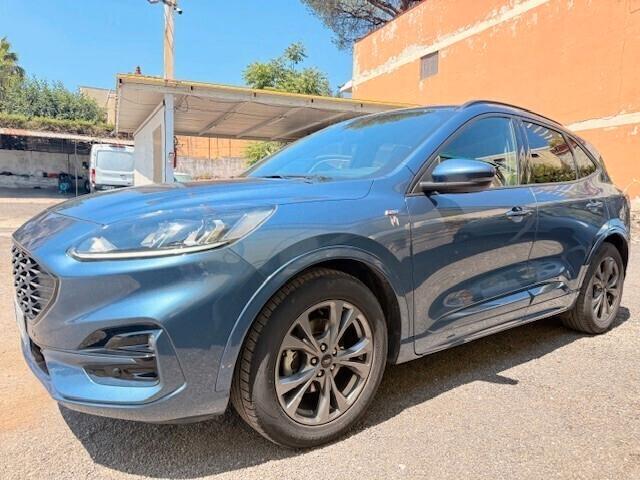 Ford Kuga 1.5 EcoBlue 120 CV aut. 2WD ST-Line N1