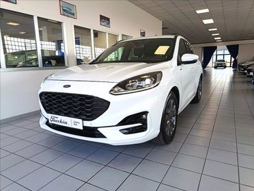 FORD Kuga 2.0 ecoblue ST-Line 2wd 120cv auto del 2023