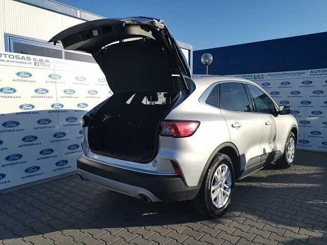 Ford Kuga 1.5 EcoBlue 120 CV 2WD Titanium