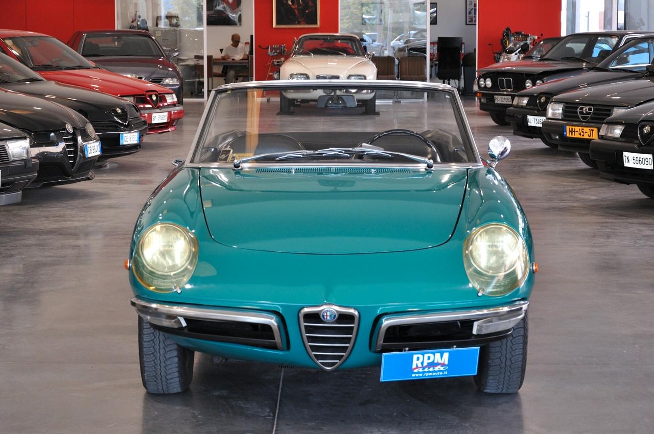 Alfa Romeo Spider 1300 Junior Duetto osso di seppia RIAR conservata