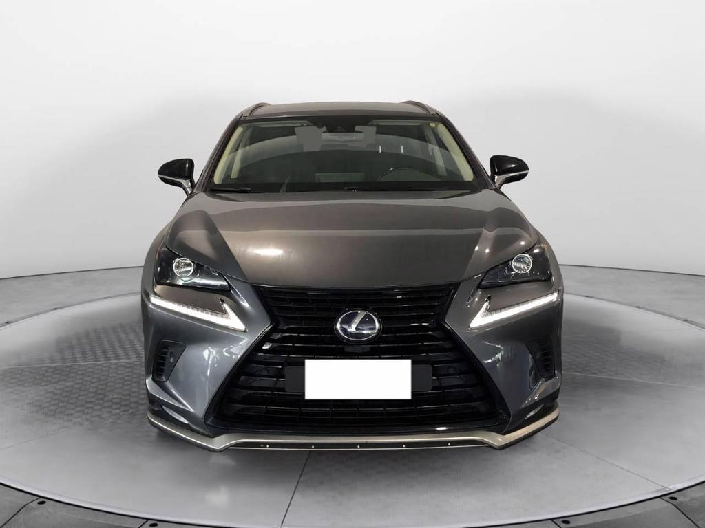 Lexus NX 300 300 2.5 Hybrid Premium 4WD CVT