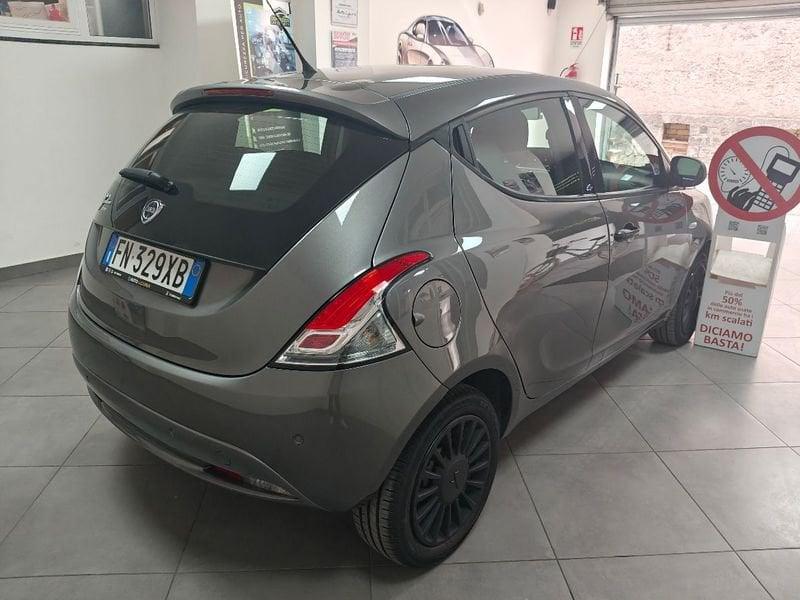Lancia Ypsilon Ypsilon 1.2 69 CV 5 porte GPL Ecochic Elefantino
