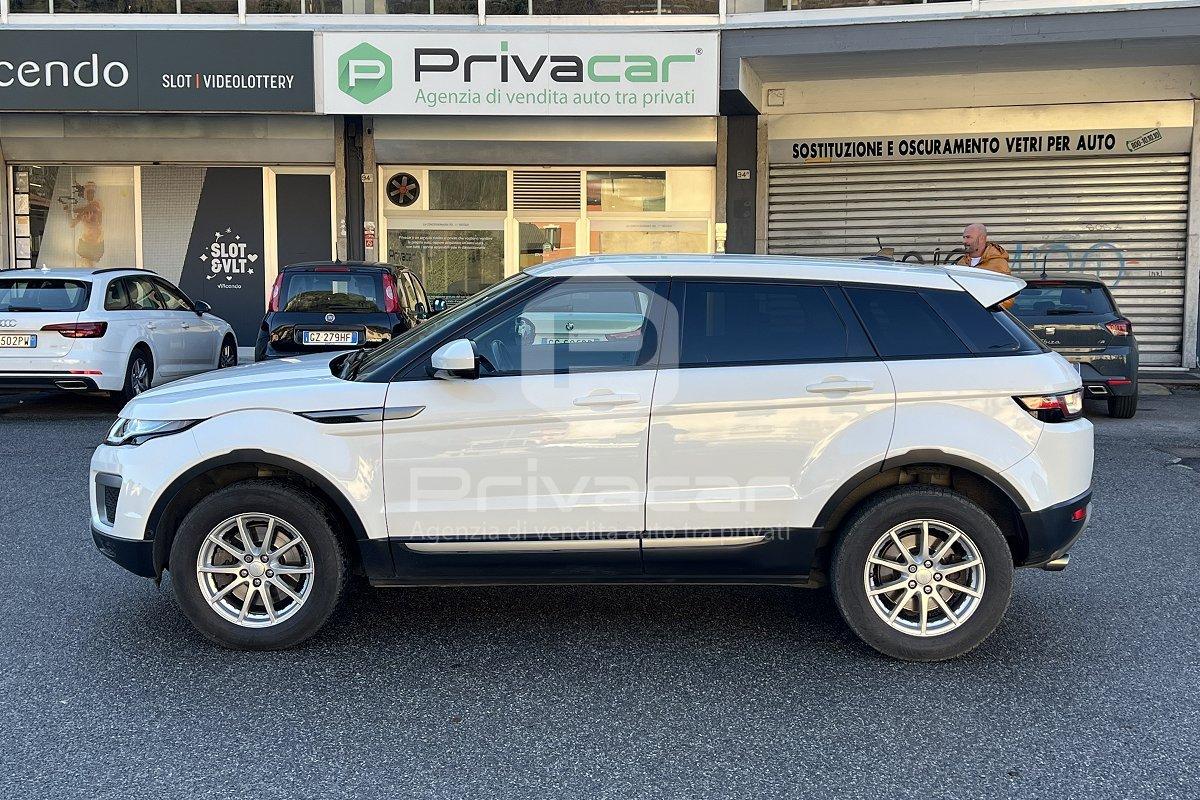 LAND ROVER Range Rover Evoque 2.0 TD4 150 CV 5p. Business Edition