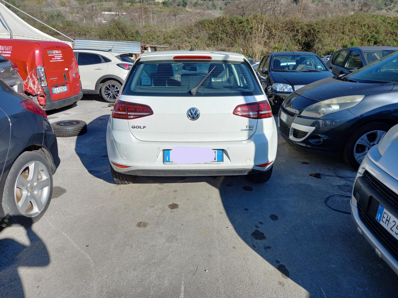 Volkswagen Golf 1.4 TGI 5p. Trendline BlueMotion