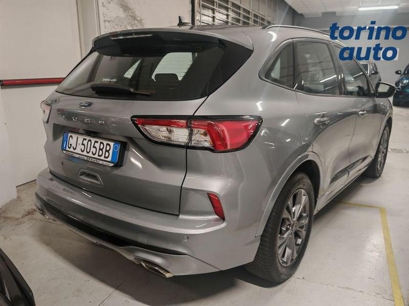 Ford Kuga Kuga 1.5 EcoBlue 120 CV 2WD ST-Line