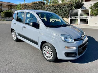 Fiat Panda 1.2 BENZINA EASY