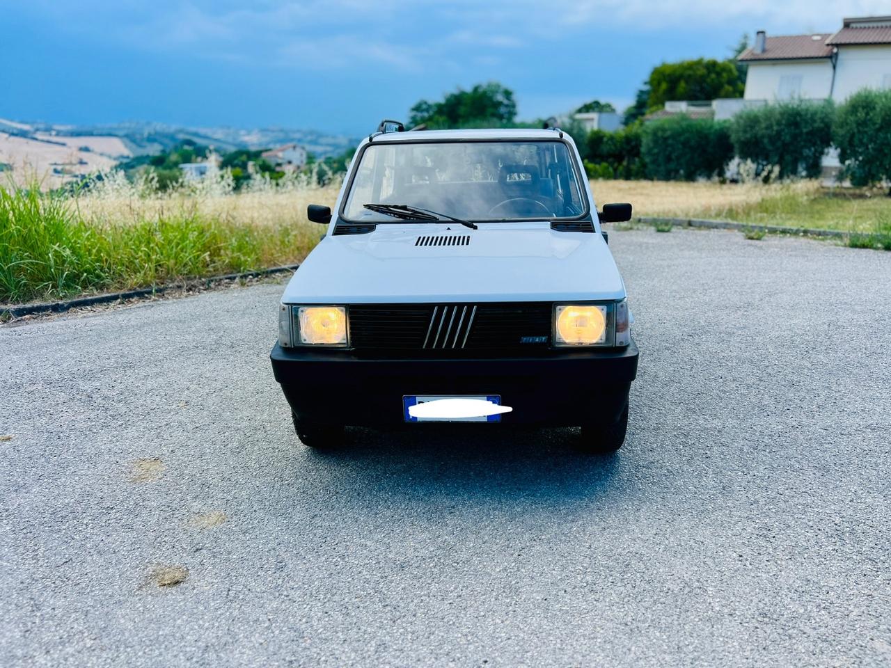 Fiat Panda 4x4 benzina e metano