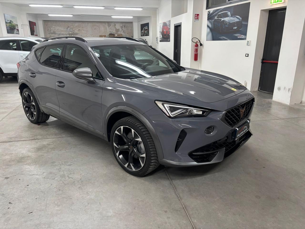 Cupra Formentor 2.0 TDI 4Drive DSG