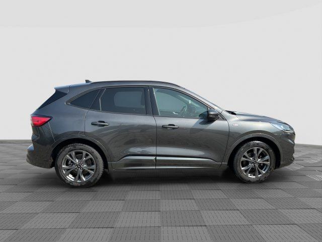 FORD Kuga Kuga 1.5 EcoBlue 120 CV 2WD ST-Line