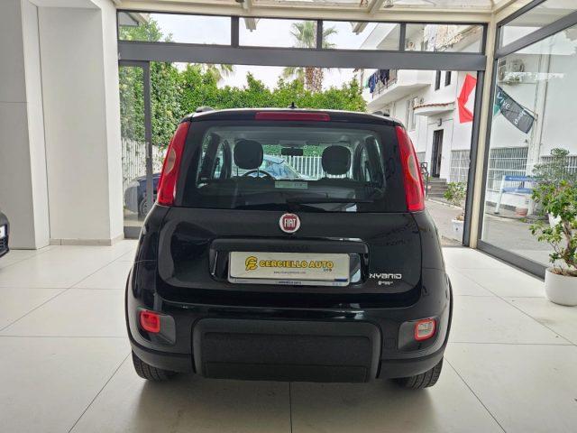 FIAT Panda 1.0 FireFly S&S Hybrid City Life da ?129,00 mensil