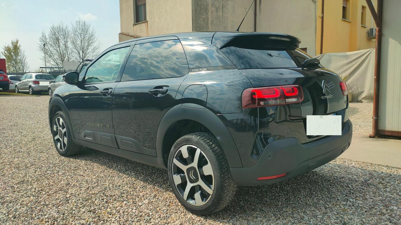 Citroen C4 Cactus 1.6 bluehdi Shine s&s 100cv