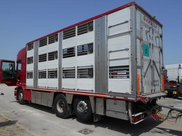 SCANIA R480 TRASPORTO BESTIAME