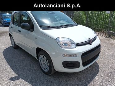 FIAT Panda 1000 HYBRID 70 CV PDC ITALIA