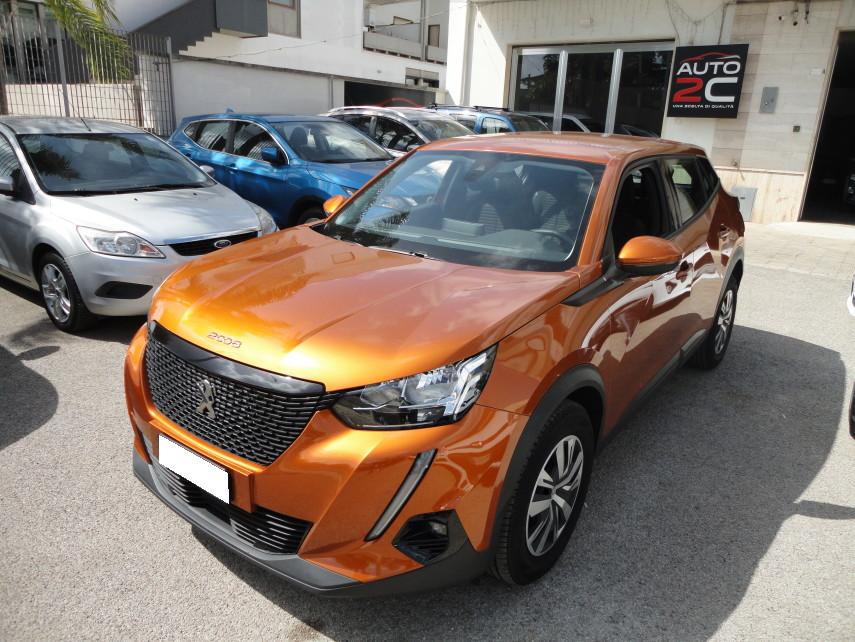 Peugeot 2008 1.5 bluehdi Active s&s 110cv