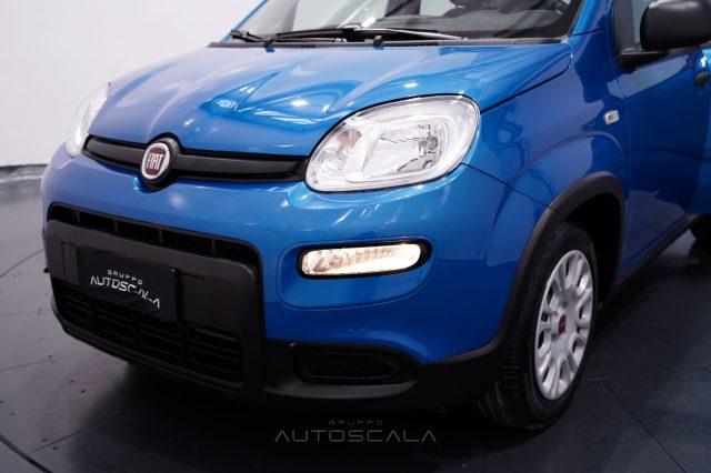 FIAT New Panda 1.0 FireFly S&S Hybrid Pack City