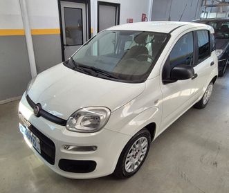 Fiat Panda 1.2 Easy 2019 Unico Proprietario