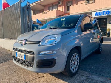 FIAT Panda 1.0 hybrid 5POSTI RadioBT-PREZZO REALE