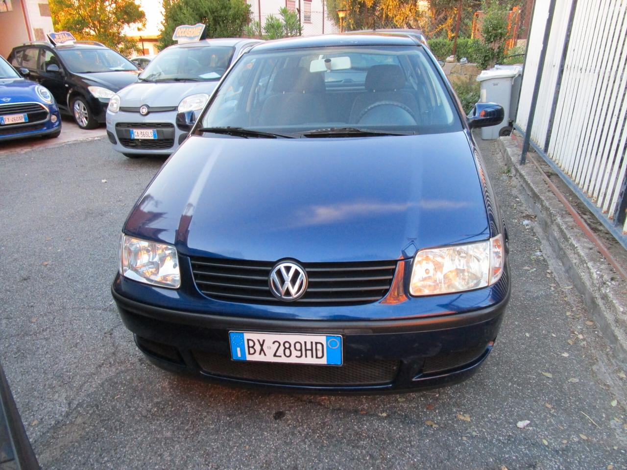 Volkswagen Polo 1.4 cat 5 porte Comfortline